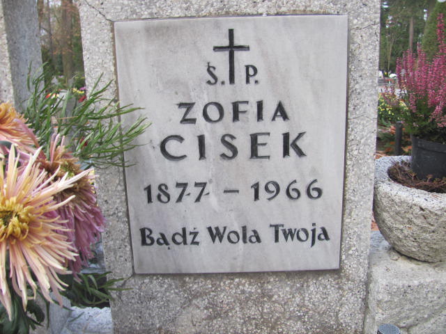 Zofia Cisek 1877 Opole-Półwieś - Grobonet - Wyszukiwarka osób pochowanych